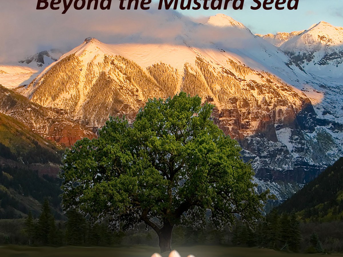 Beyond the Mustard&nbsp;Seed